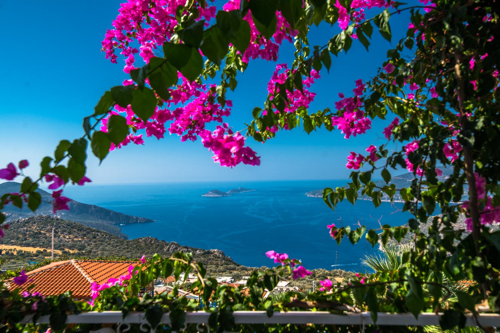 Paradise Kalkan Villaları