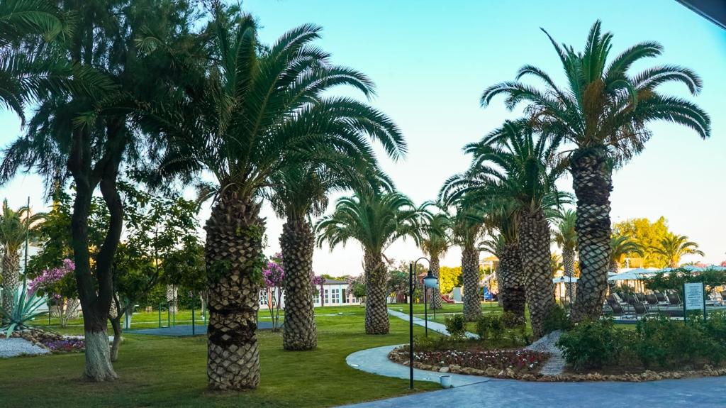Club Beyy Resort Hotel
