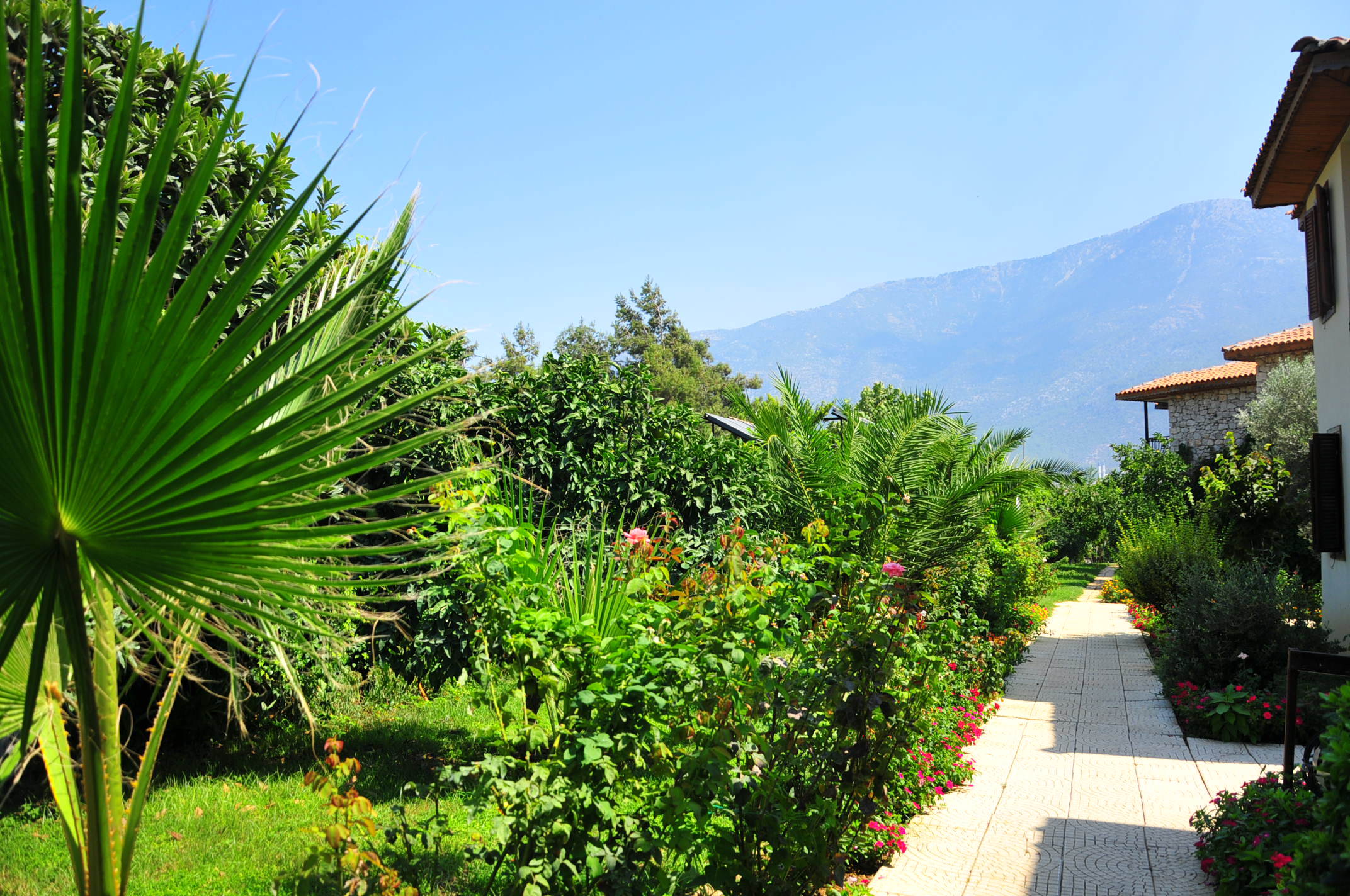 Telmessos Neva Hotel