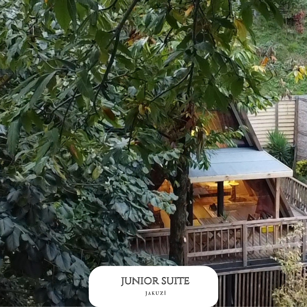Junior Suite Room