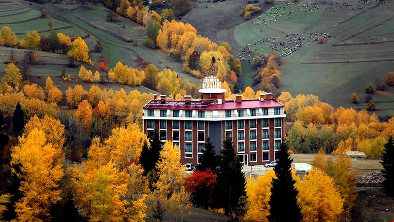 Black Forest Hotel