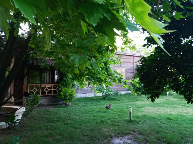 Maji Village galeri 2