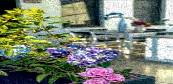 Yalın Apart Otel · 37