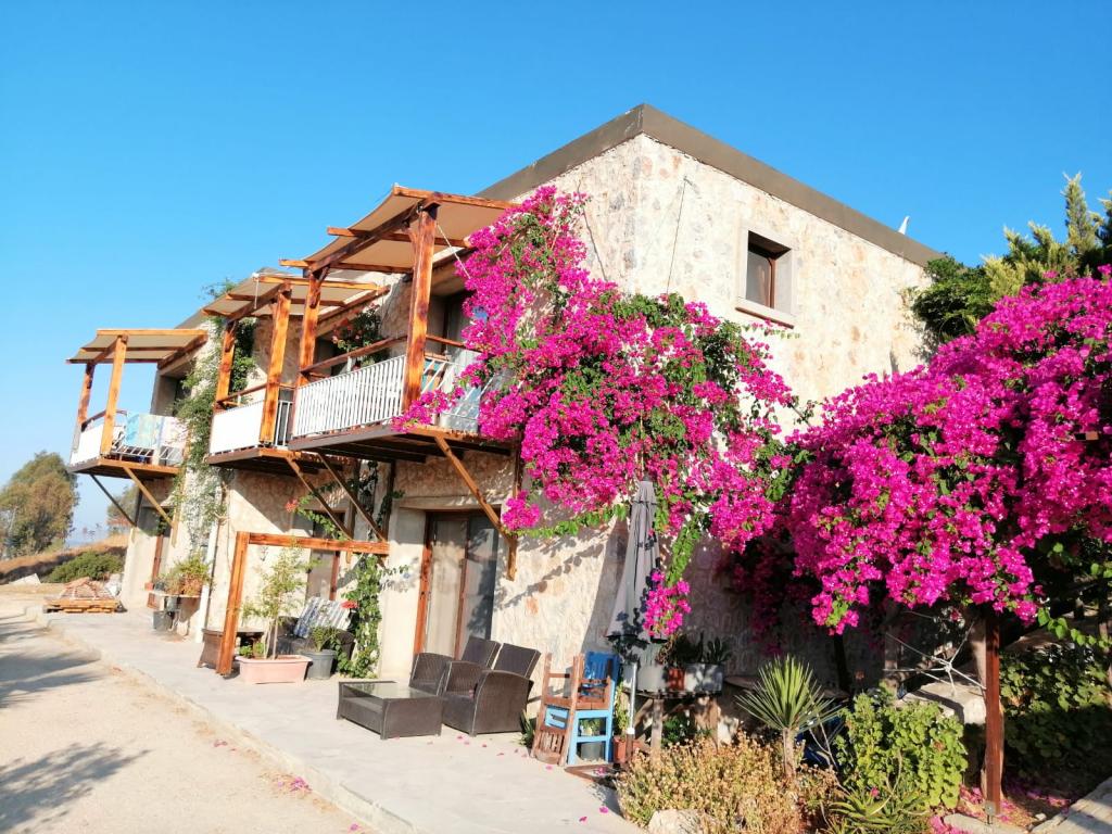 Eco Farm Boutique Hotel