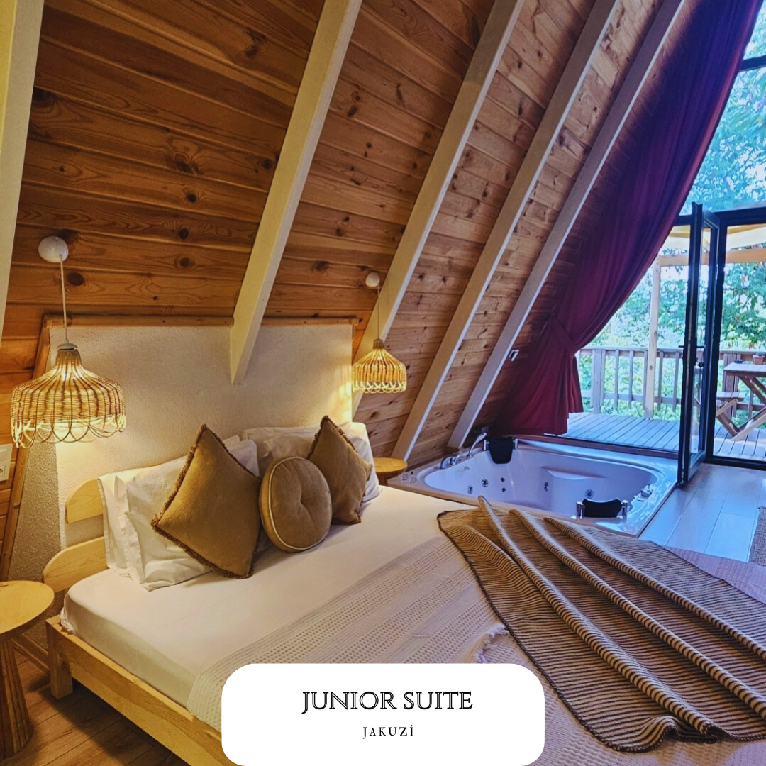 Junior Suite Room