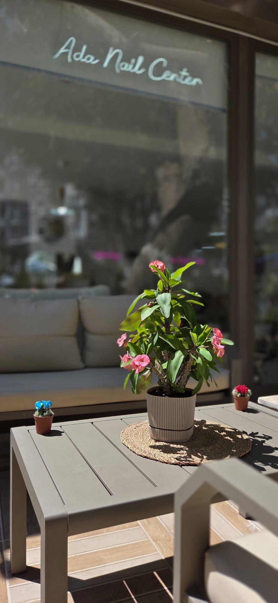Palmen Apart Otel · 184