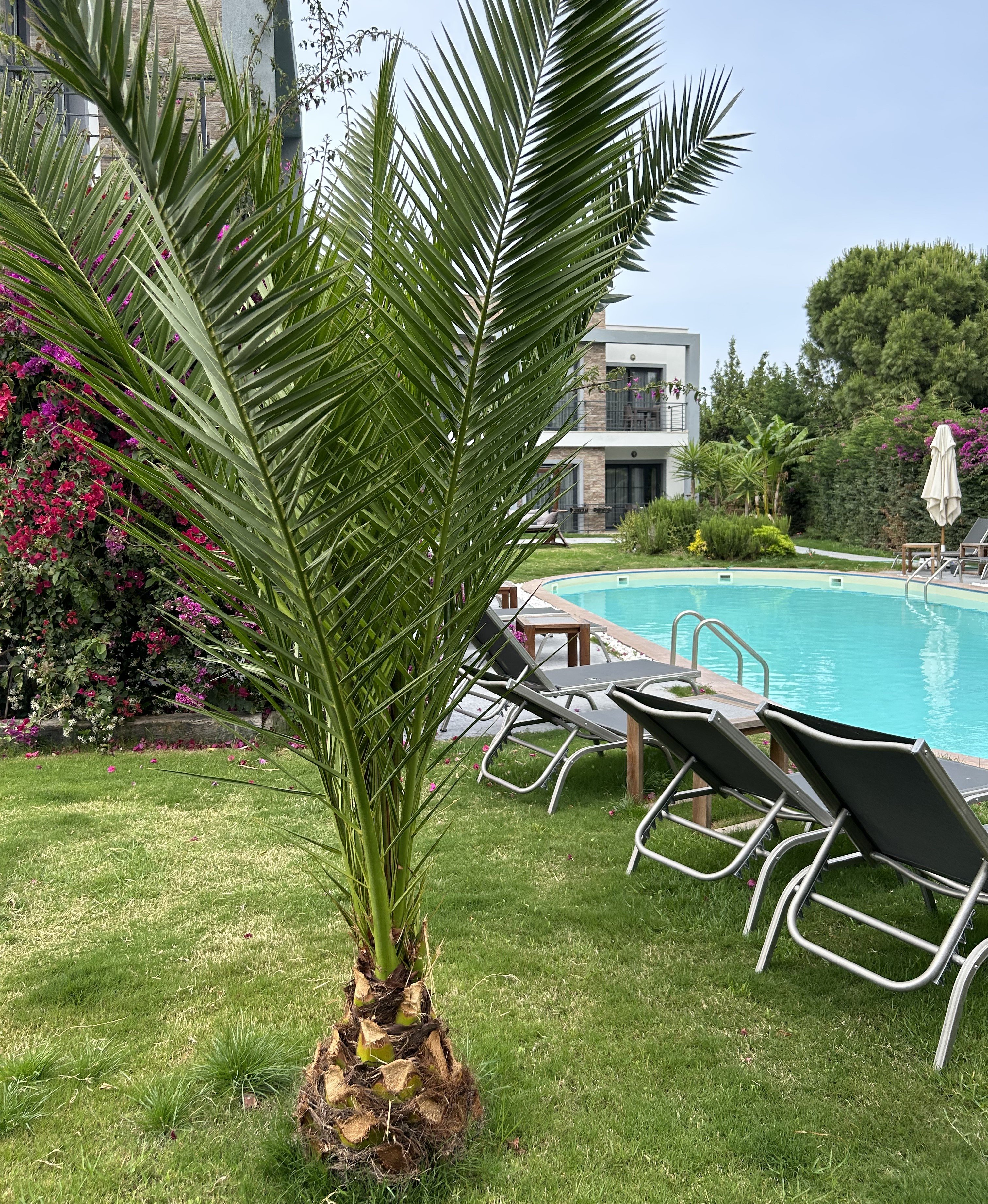 Malta Bodrum · 62