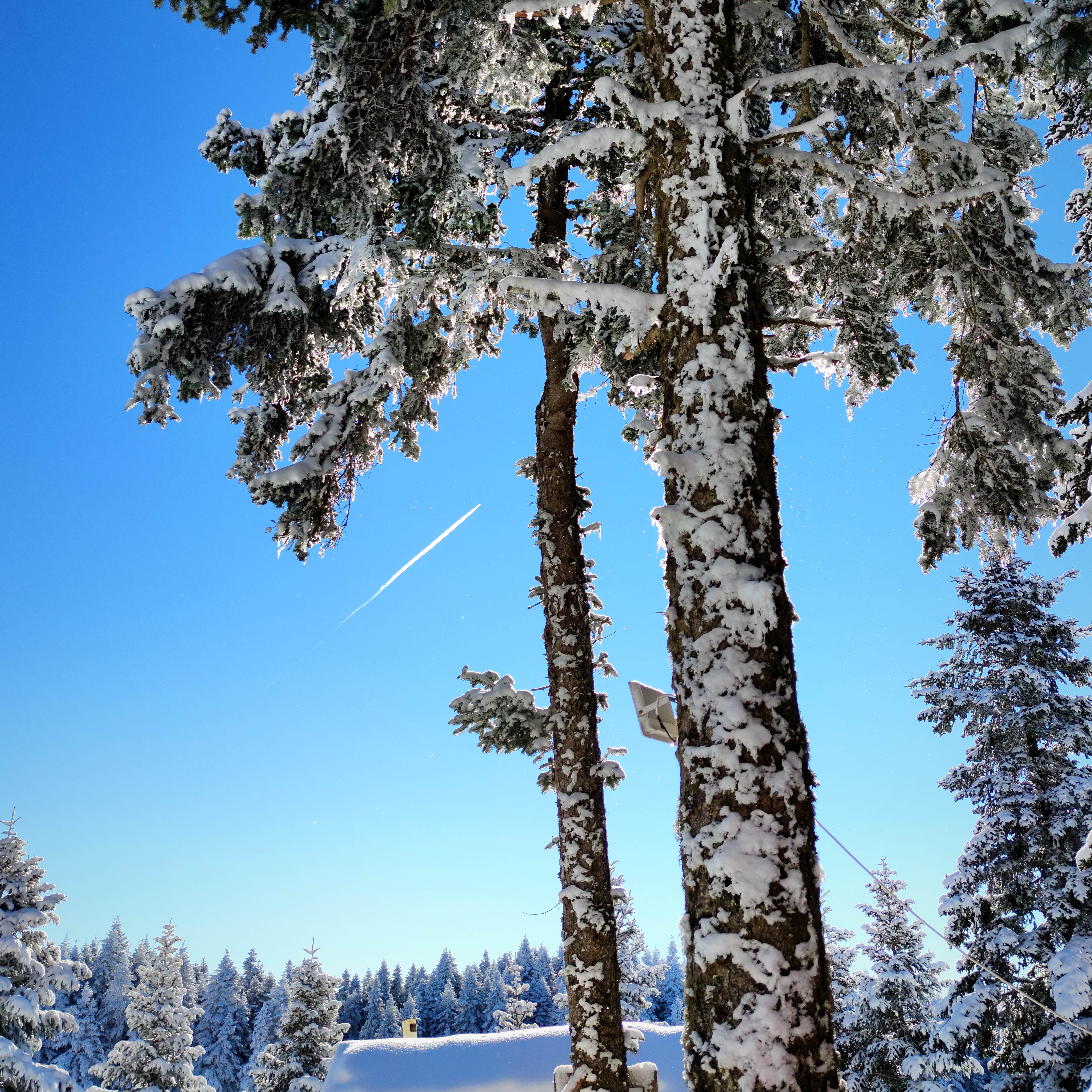 The Sign Esentepe & Ski Center