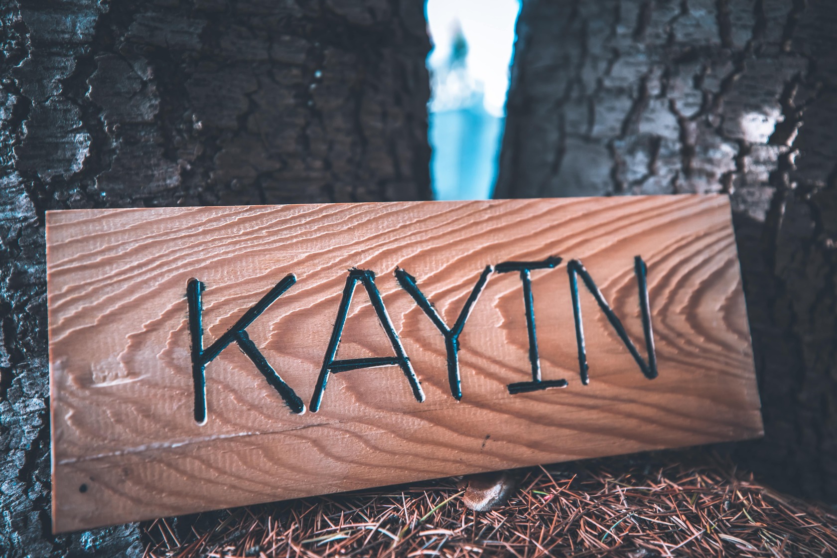 Poi Oberj Kartalkaya By Karpalas