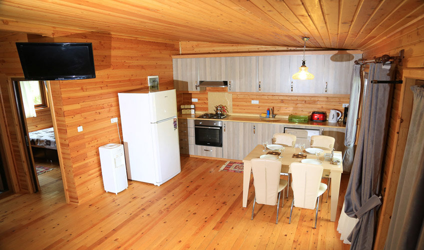 Villa Zeytin Çıralı galeri 9