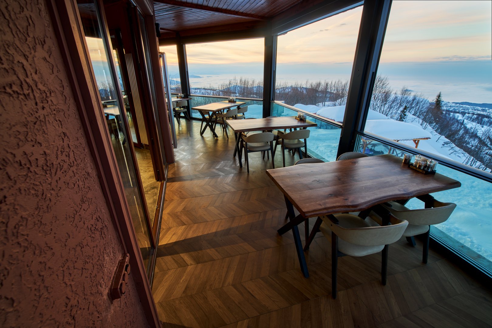 Flora Handüzü · 48