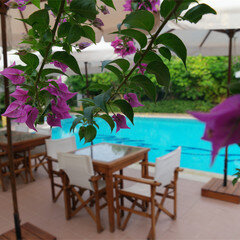 Mr. Dim Exclusive Apart Hotel- Göcek · 17