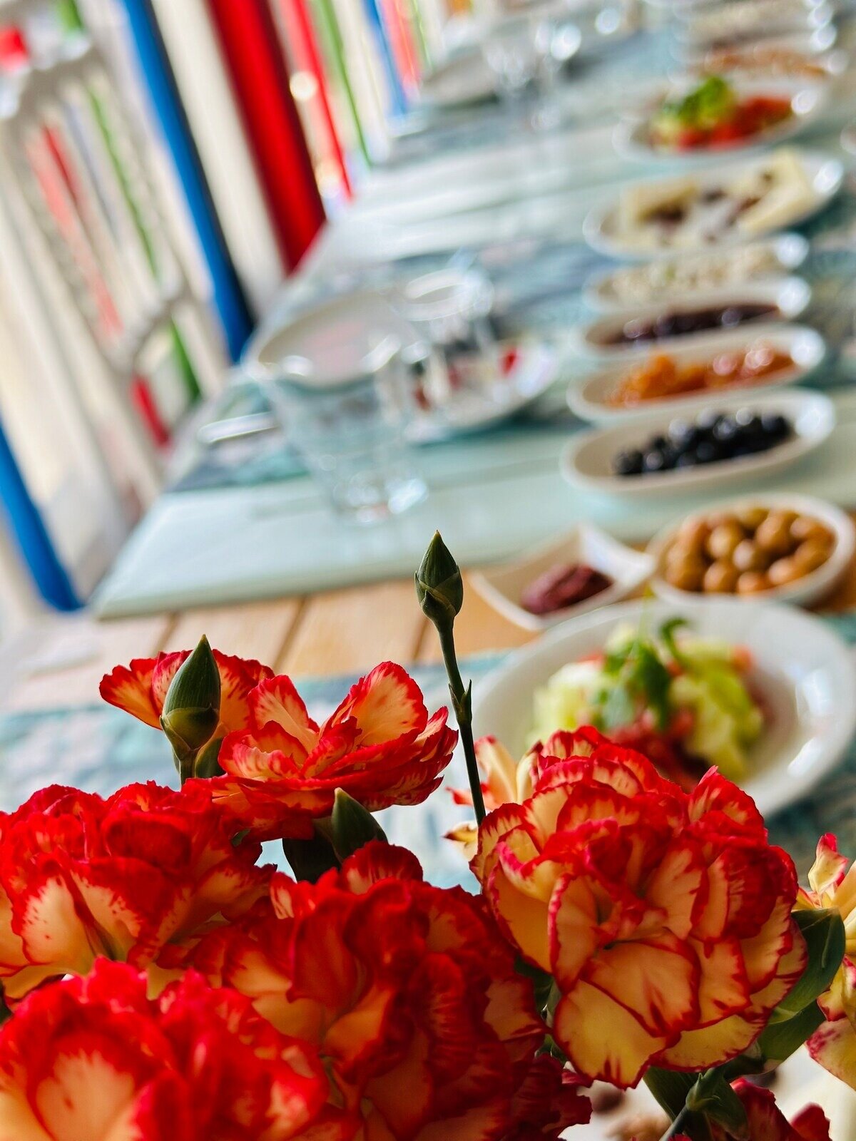 Martı Bozcaada · 7