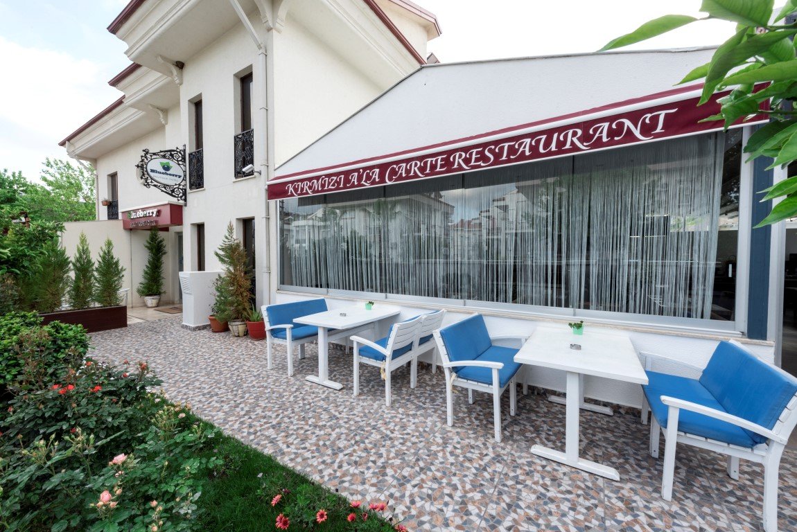 Blueberry Boutique Hotel · 50