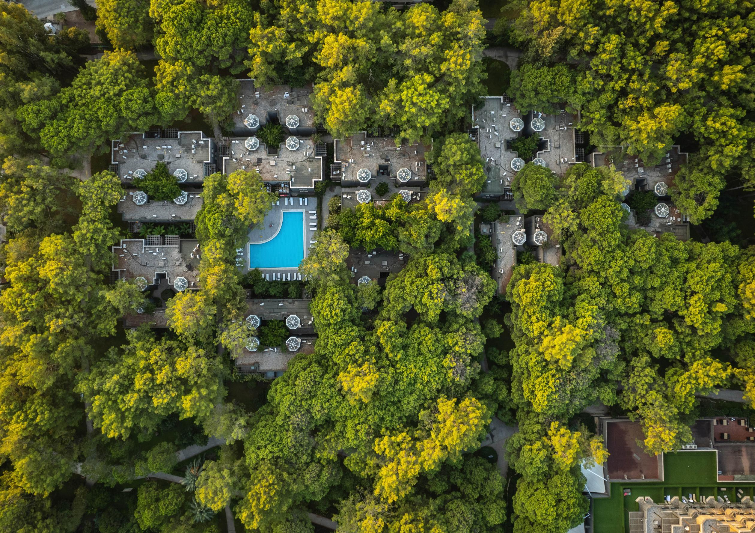 Balmy Foresta Hotel