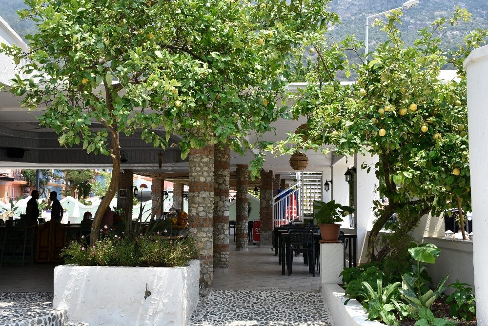 Magic Tulip Hotel
