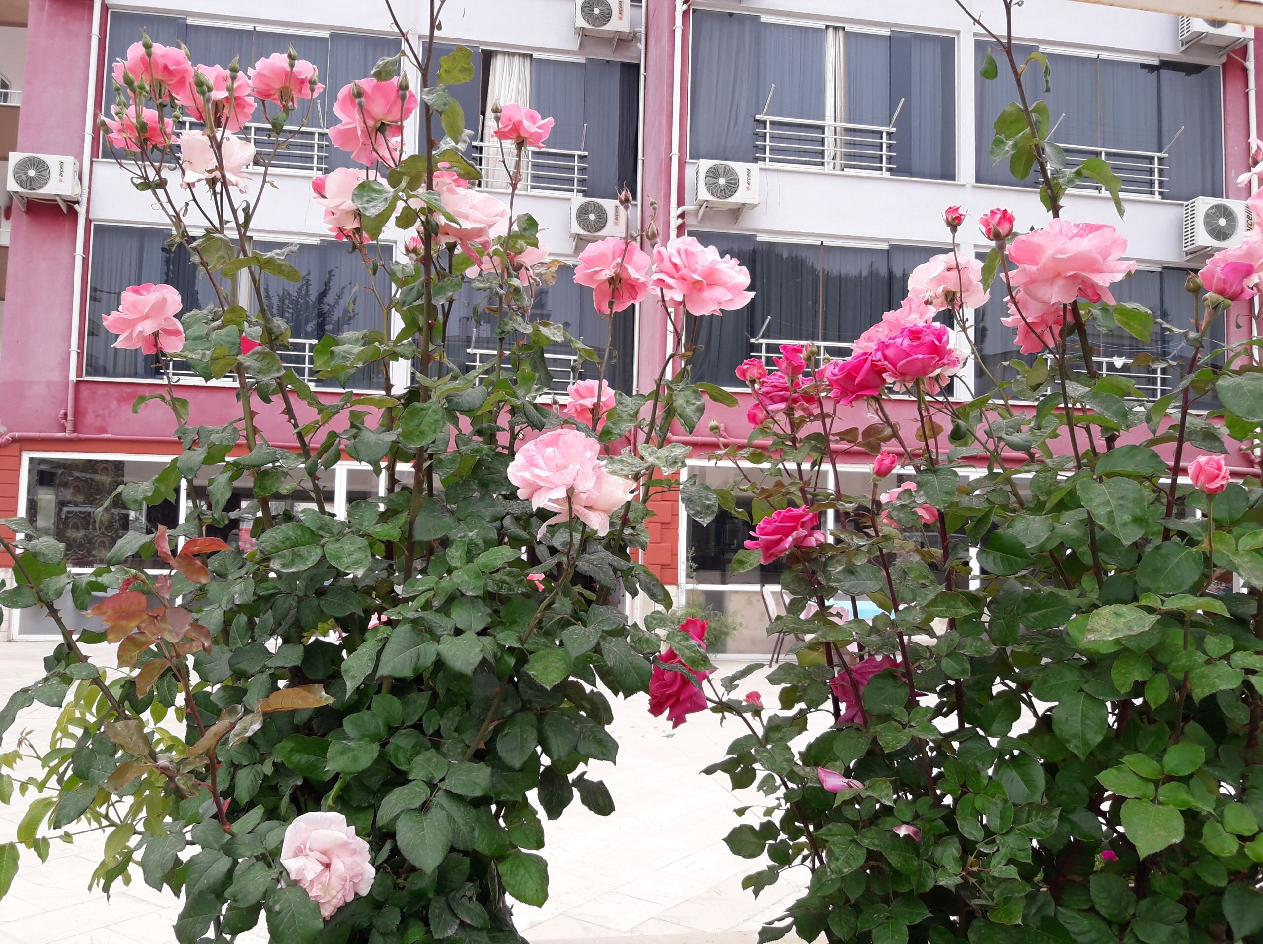 Balşen Hotel
