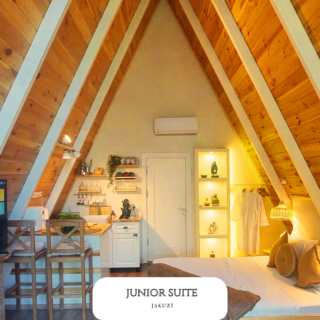 Junior Suite Room