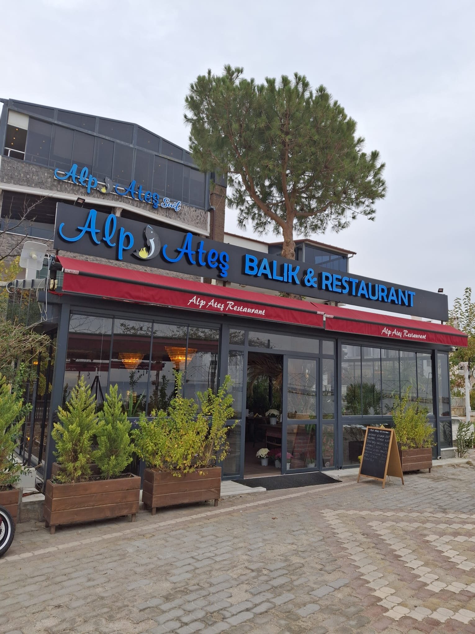 Alp Ateş Suit