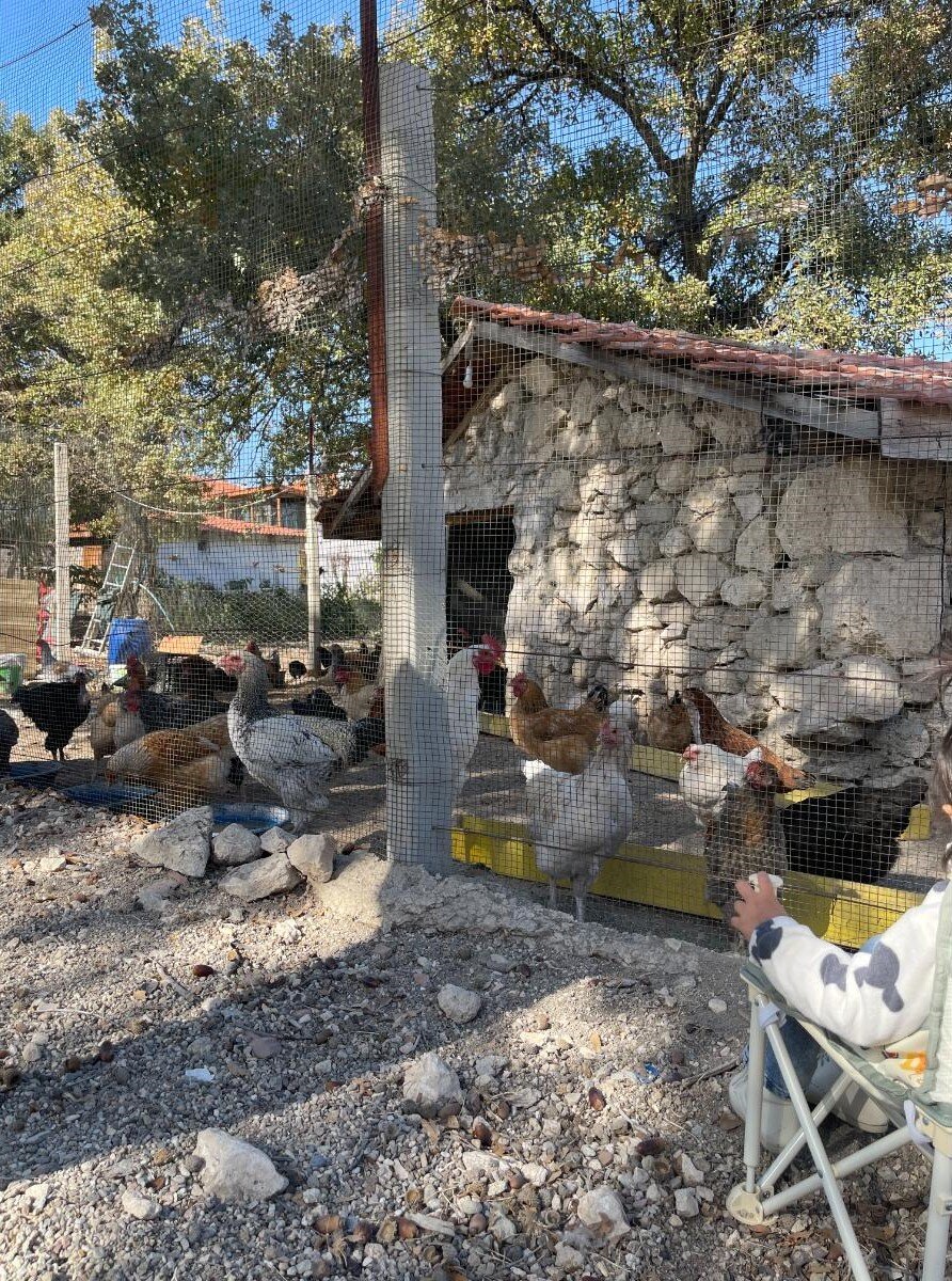 Bademli Han Otel galeri 6