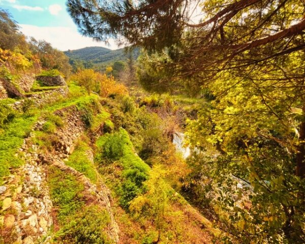 Kybele Nature Life (Adult Only 15+)