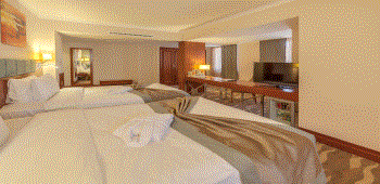 Lamec Hotel Business · 63