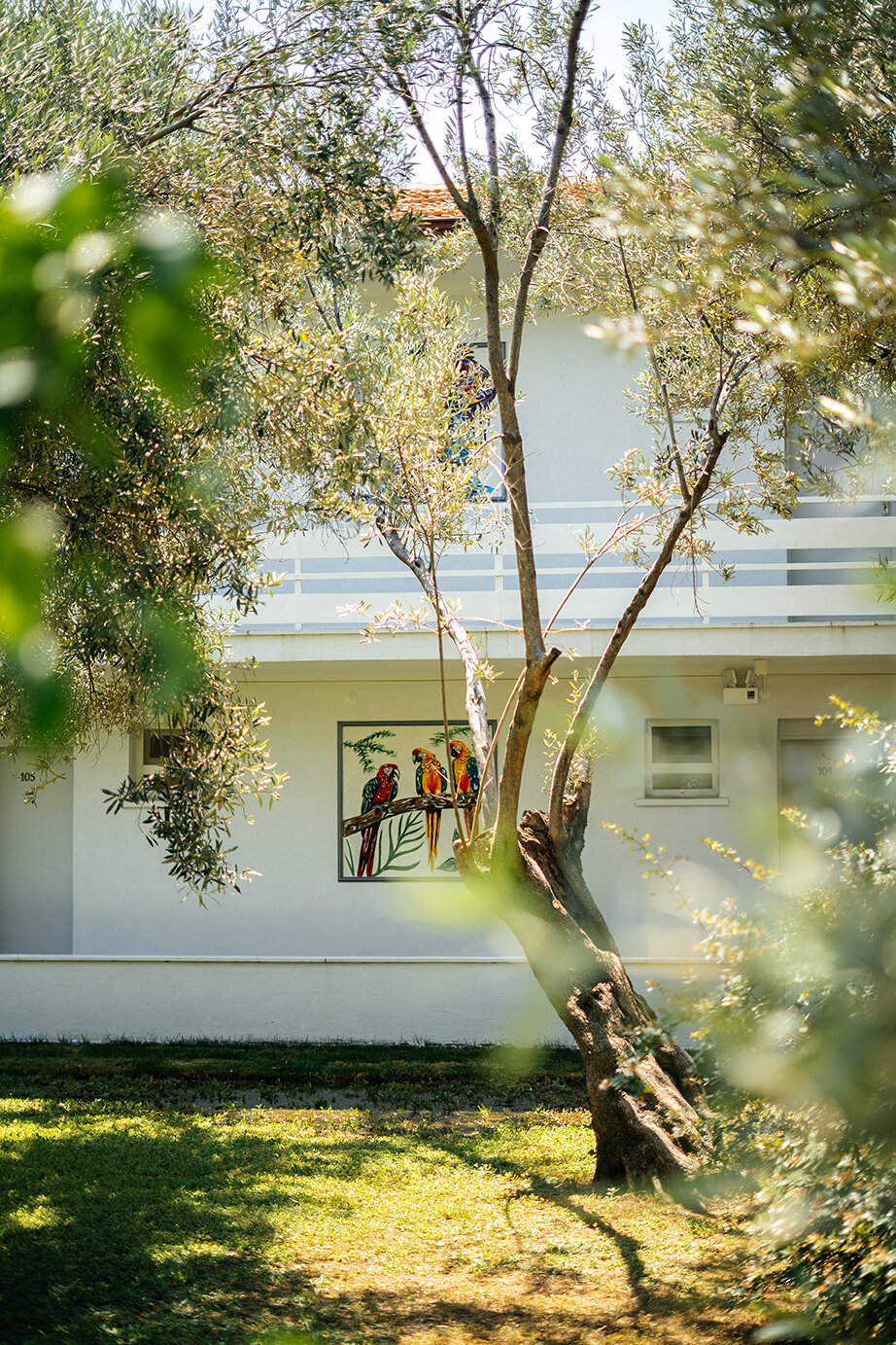 Palm Beach Otel Küçükkuyu · 11