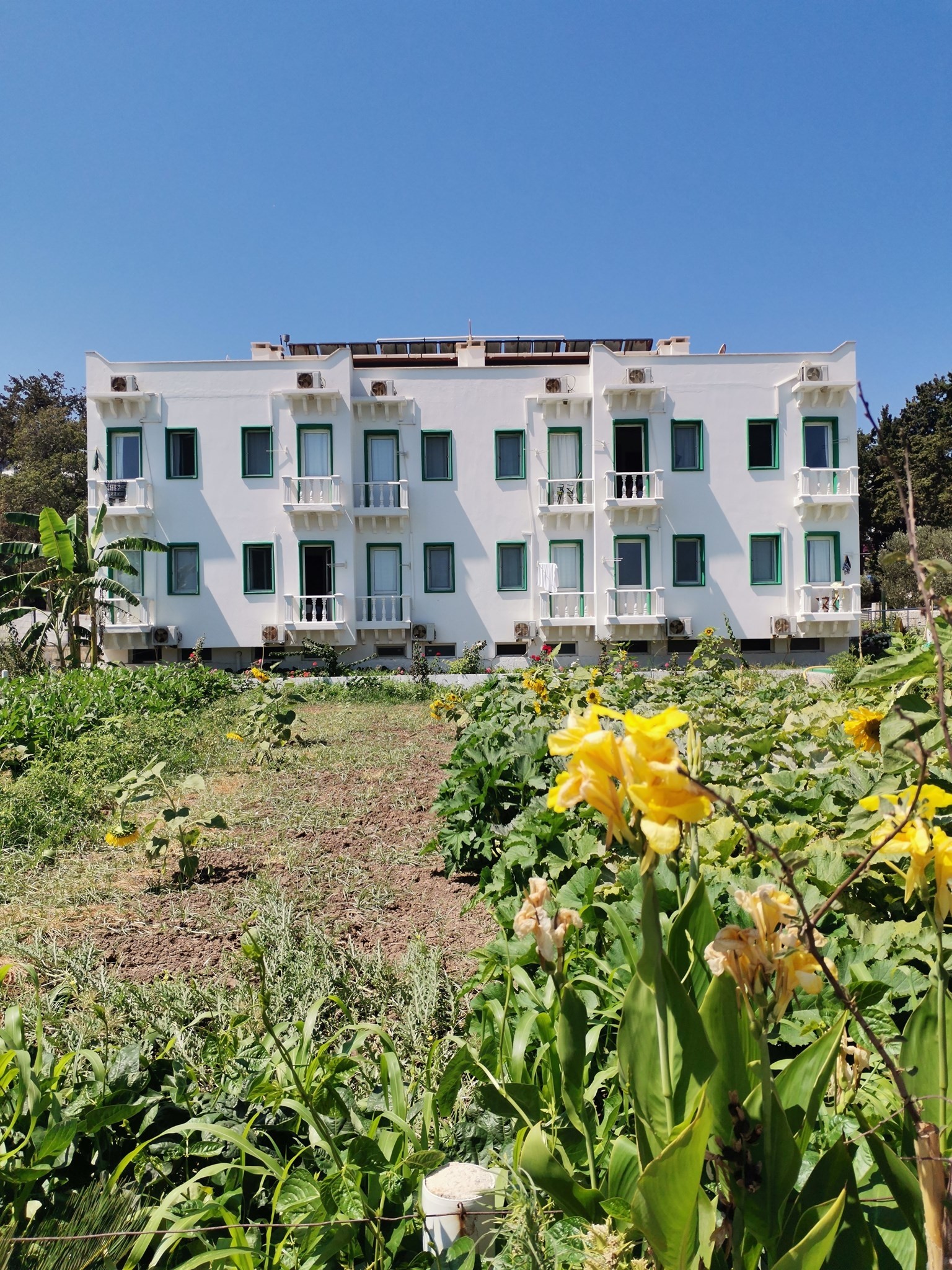 Koyunbaba Pansiyon Gümüşlük