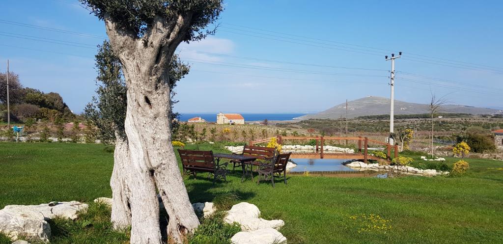 Adayel Butik Otel ve Bağ Evi
