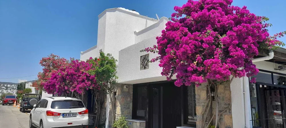 Ayhan Suite Hotel Bodrum