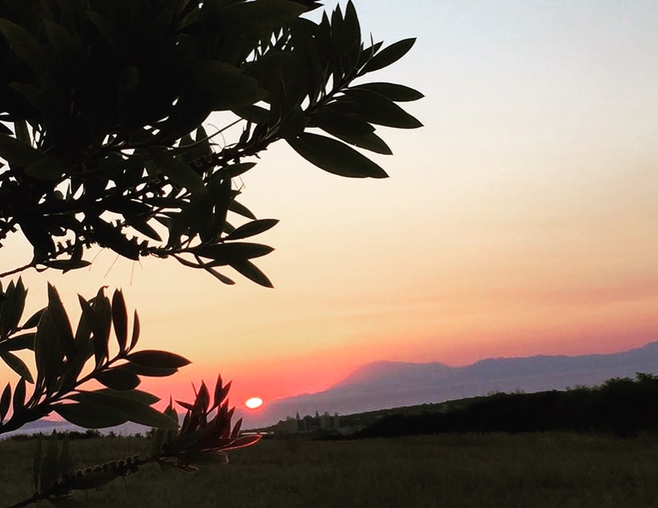 Mavi Restaurant & Bistro