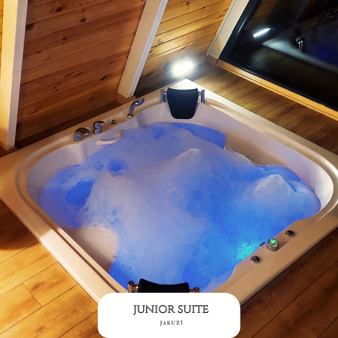 Junior Suite Room