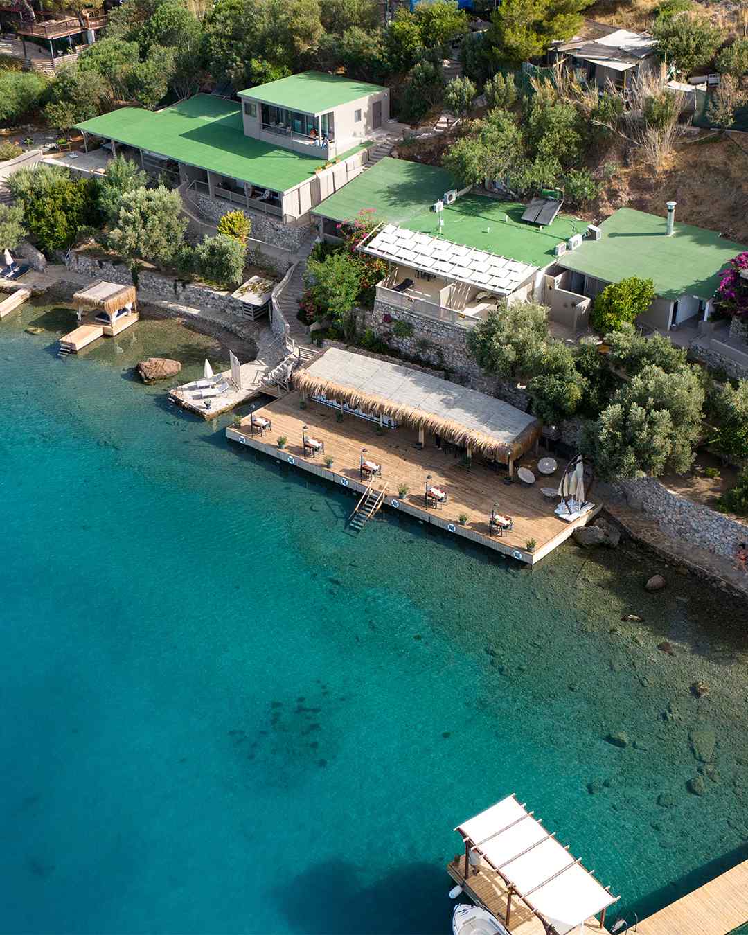 Casa Daracia (15+)