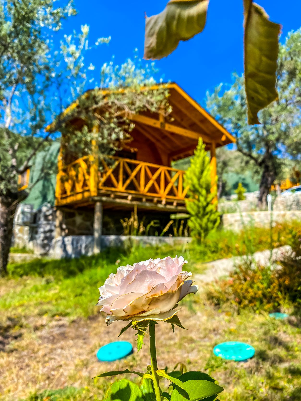 Kazdağı Sağlıklı Yaşam Köyü
