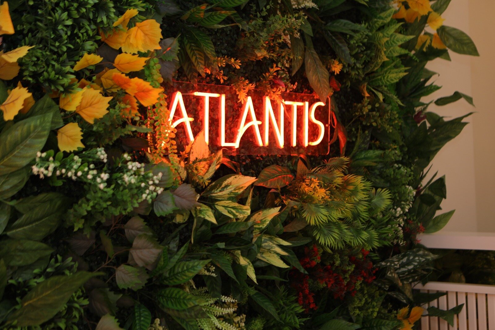 Atlantis Home Palace