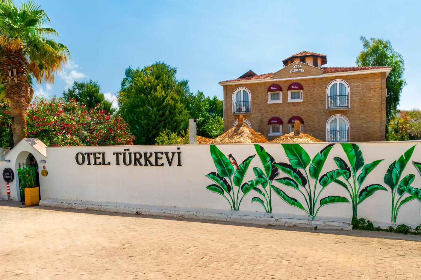 Türkevi Sarımsaklı