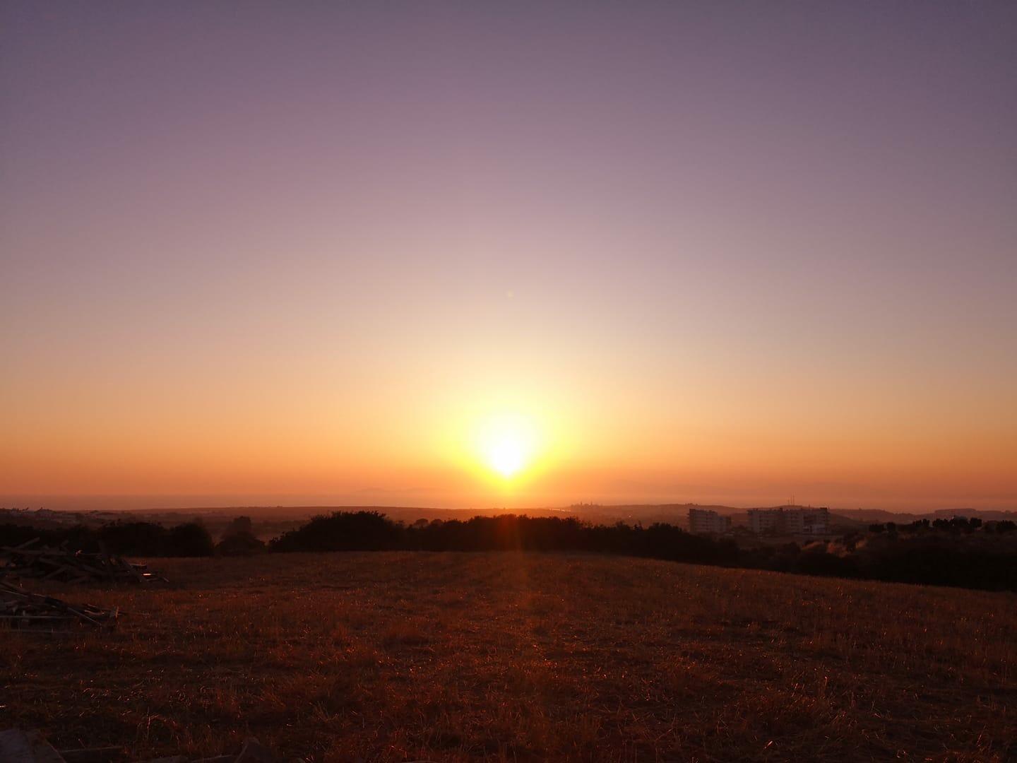 Mavi Restaurant & Bistro