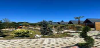 7.Sense Nature Resort