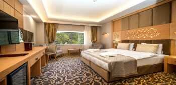 Alsi Ametis Luxury Exclusive Thermal Hotel · 58