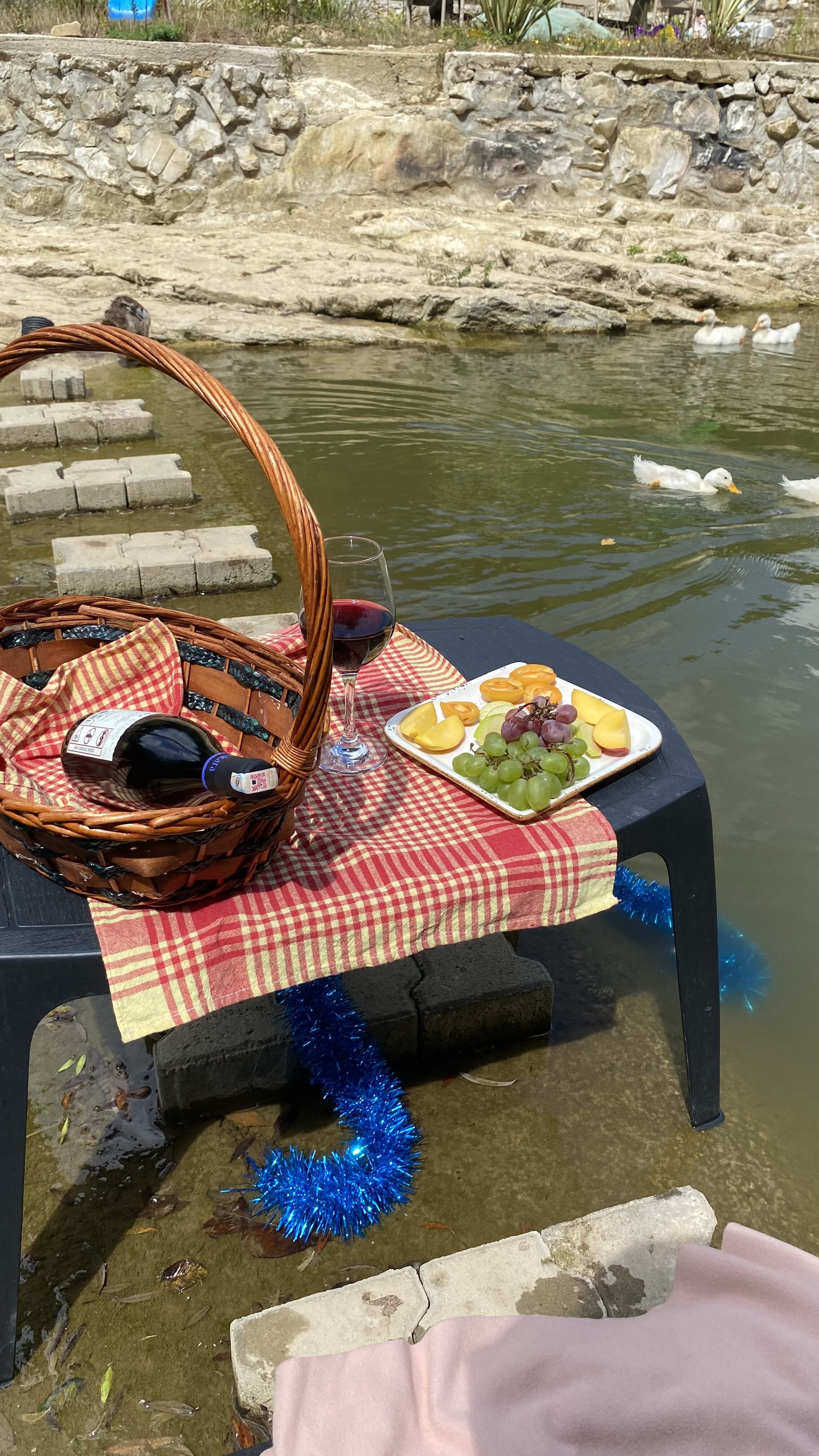 Ağva Sosyete Çobanı Doğal Yaşam Oteli