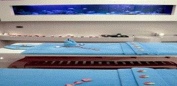 Eser Premium Hotel & Spa · 74