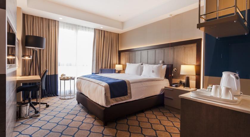 Holiday Inn Kayseri - Düvenönü