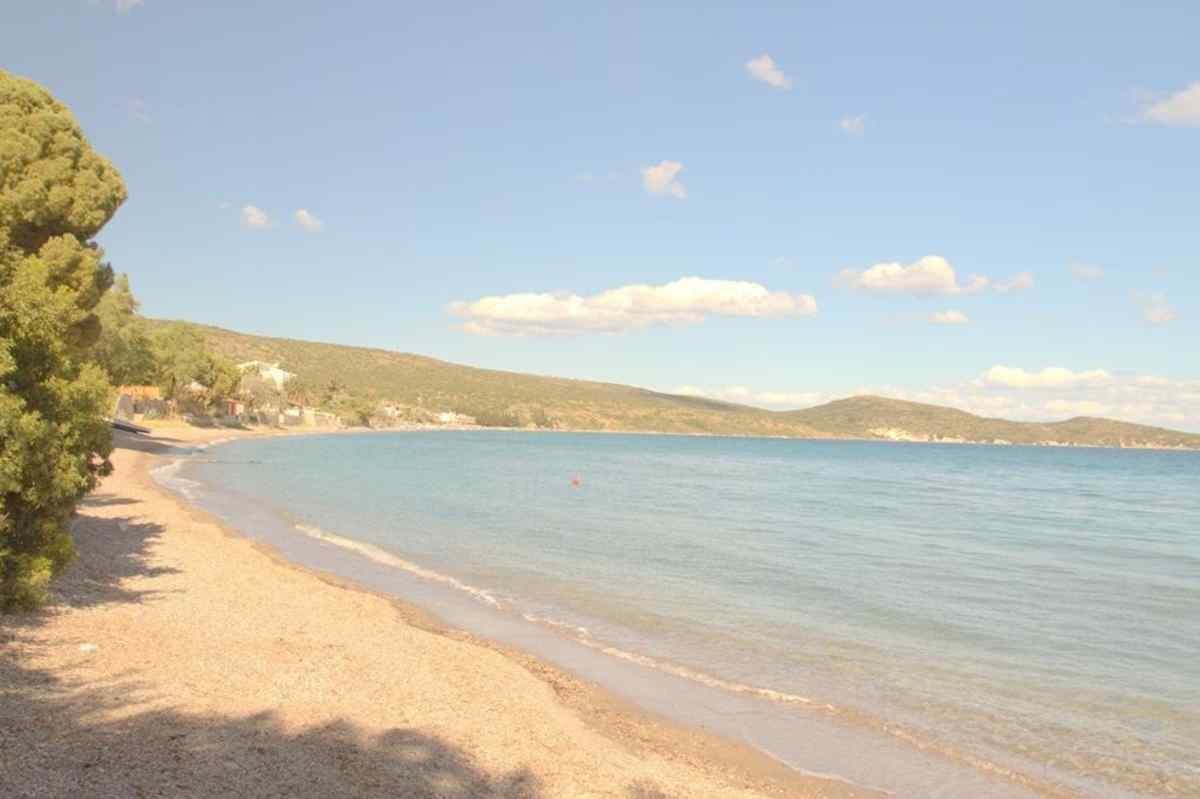 Üzüm İskelesi Butik Otel galeri 4