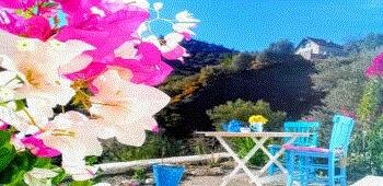 Mavi Kelebek Datça