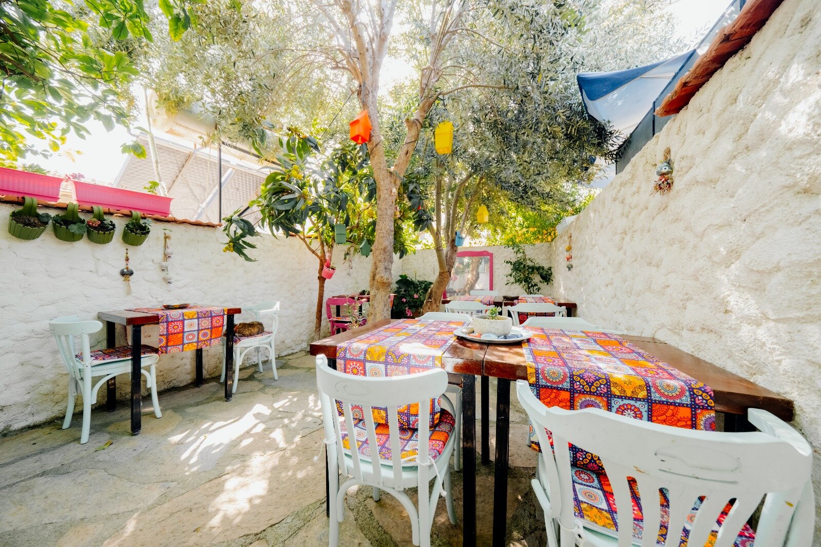 Kakule Pansiyon & Cafe Sığacık galeri 3
