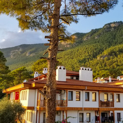 Mercan Apart Akyaka