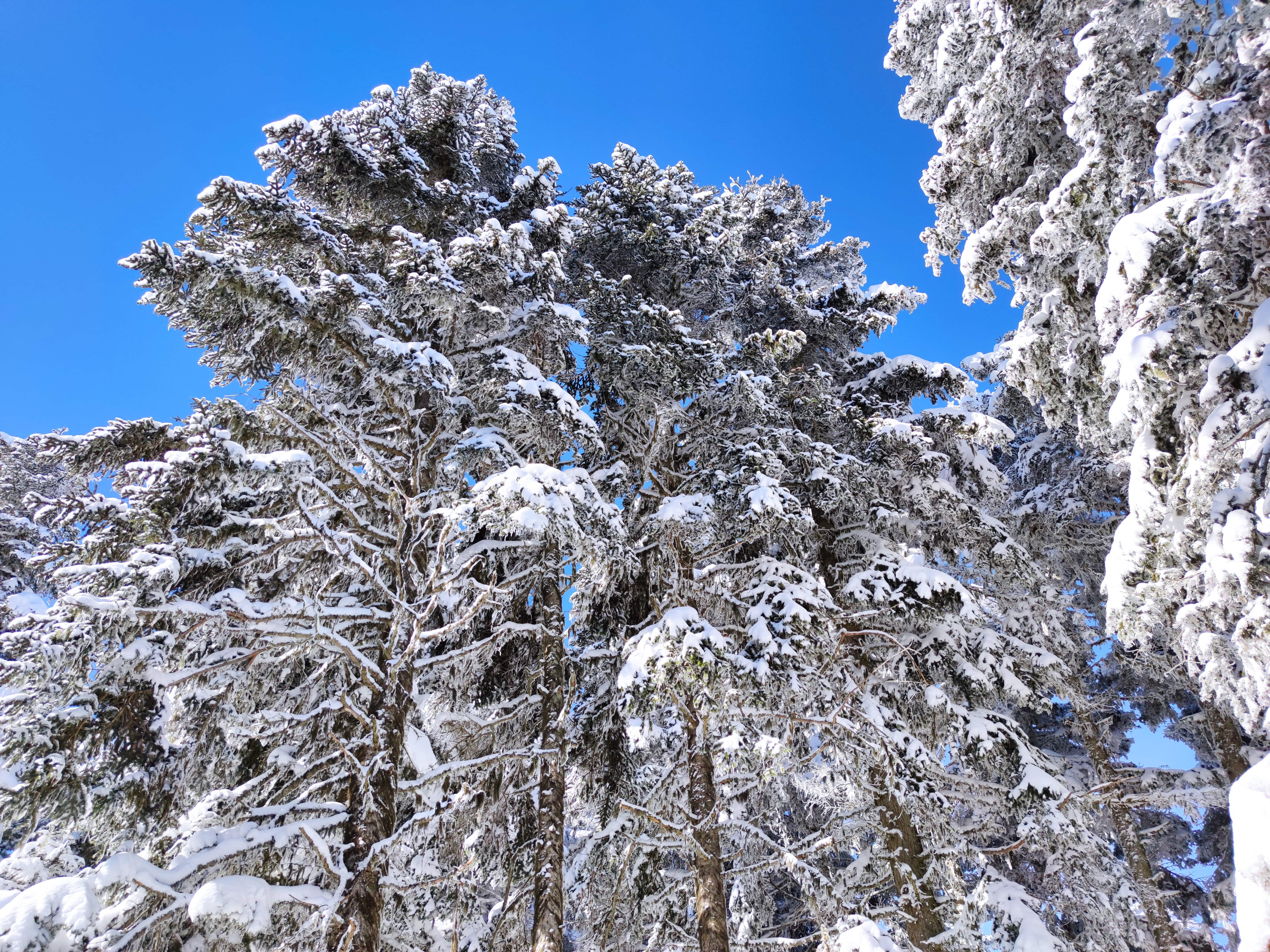The Sign Esentepe & Ski Center