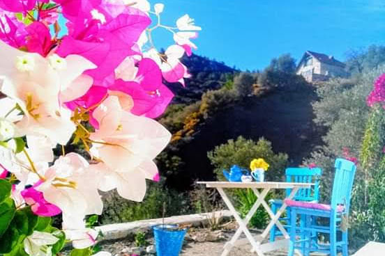 Mavi Kelebek Datça