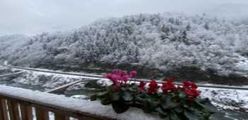 Hira Bungalov Pansiyon · 73