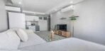 Swan Home Görseli